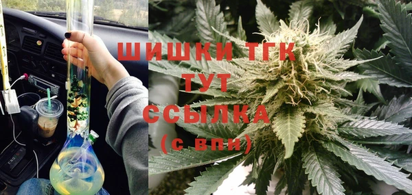тгк Богородицк
