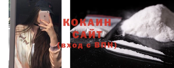 тгк Богородицк