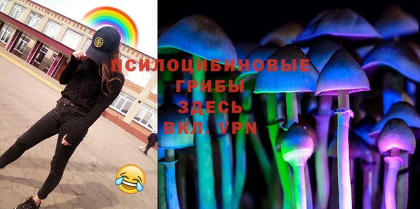 бошки Богданович
