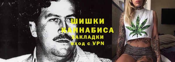бошки Богданович